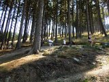 2015_08_29-30 Musikantenausflug (118).JPG